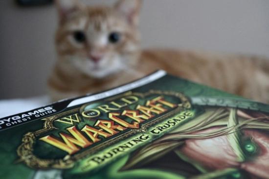 The Epic Saga of World of Warcraft: Secrets to Its Global Dominance