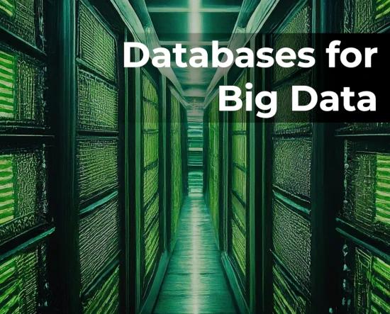 Exploring the Best Databases for Big Data