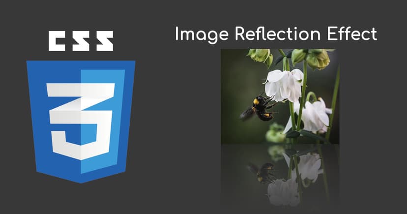 Image Mirror Reflection